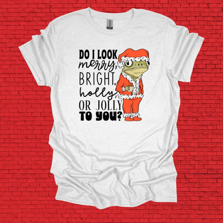 Merry, Bright, Holly, Or Jolly Graphic Tee